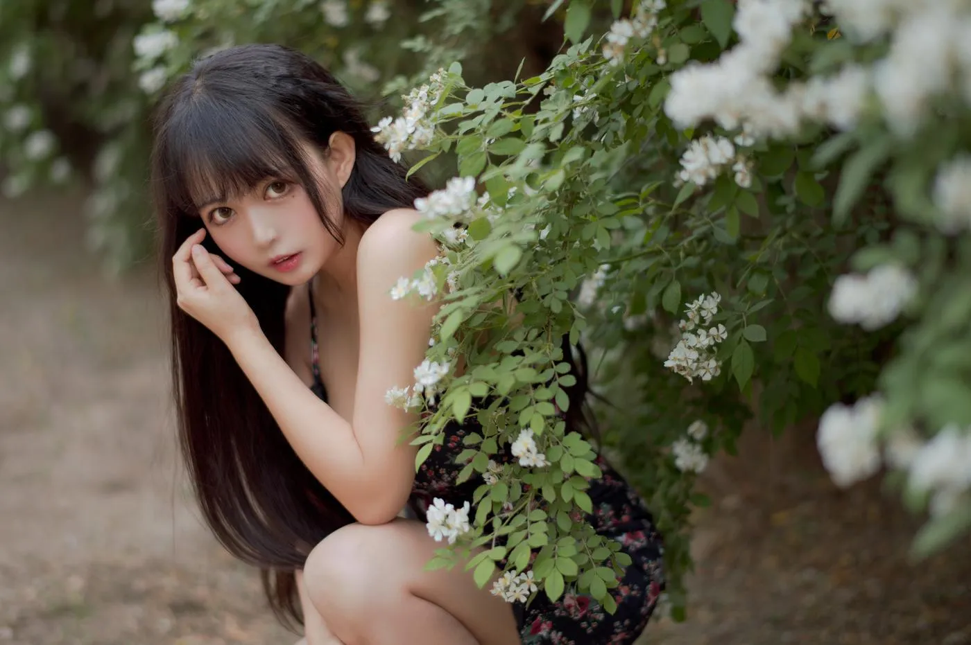 黑猫猫OvO – NO.22 蔷薇1 [22P]插图9